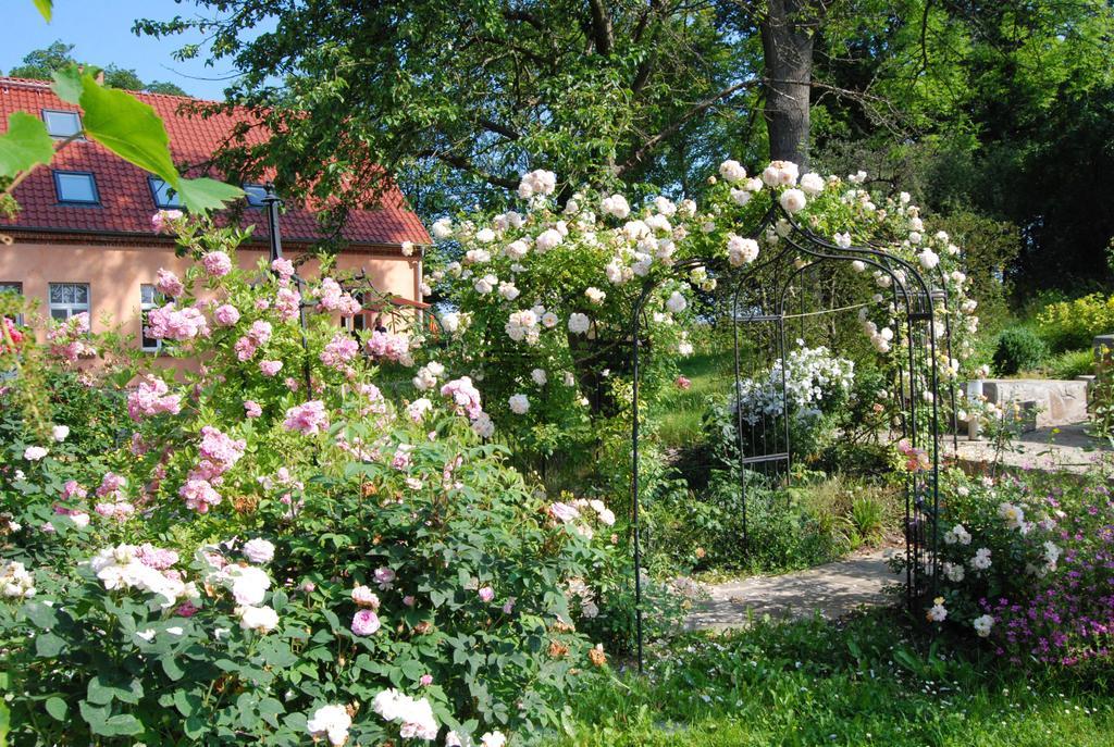 Feriendomizil Alter Garten Temmen-Ringenwalde Exteriör bild