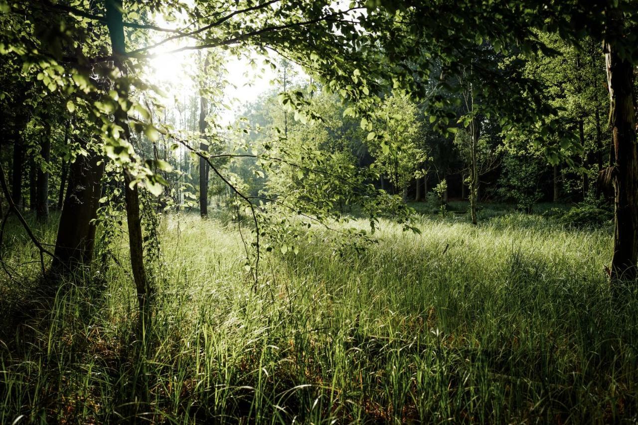 Feriendomizil Alter Garten Temmen-Ringenwalde Exteriör bild