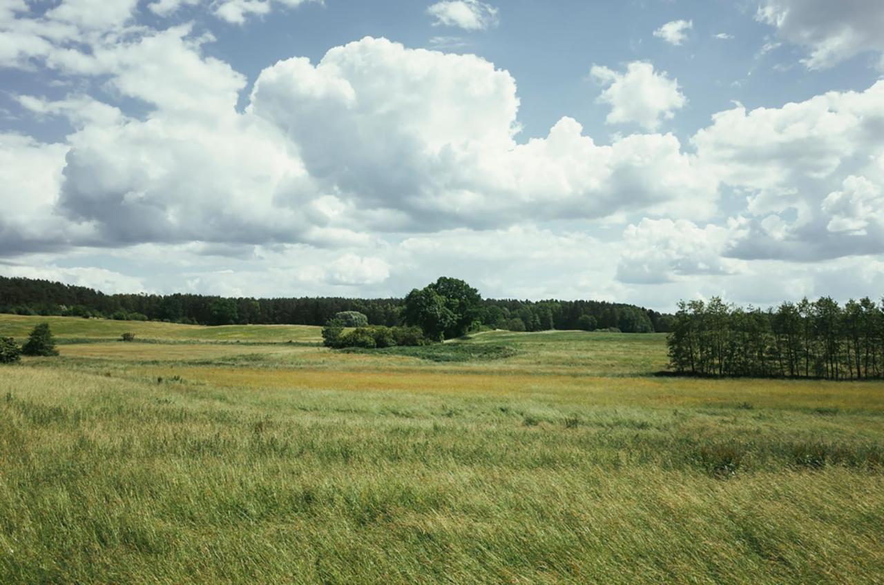 Feriendomizil Alter Garten Temmen-Ringenwalde Rum bild